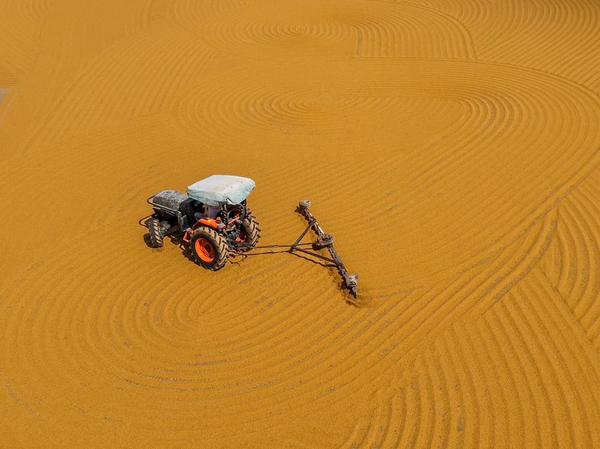 An aerial view of a small, orange tractor with a white canopy on a vast, sandy surface, using a surfacing tool to level or cultivate the terrain. The tractor's tires are black with orange rims, and it is positioned slightly to the left of the center in the image. The sandy ground exhibits evenly spaced, concentric ridges caused by the tractor's activity, creating a pattern across the scene. In the background, the sandy surface extends to the edges of the image without visible structures or obstructions. The overall environment appears dry and open. This image highlights equipment akin to machinery used in land preparation, which may relate to site clearing activities before waste or rubbish management processes, aligning with independent disposal or site clearance services that Rubbish Collection Harrow could provide in a professional waste management context.