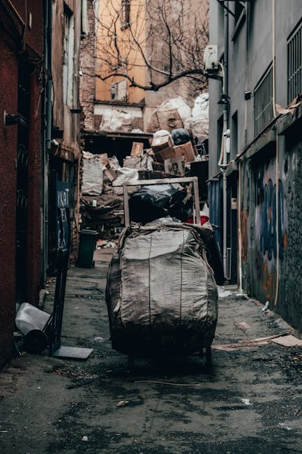 A narrow urban alleyway filled with a large, wheeled black rubbish bin positioned in the foreground, surrounded by scattered debris and dirt on the asphalt surface. Behind the bin, an overflowing pile of cardboard boxes, plastic bags, and miscellaneous waste materials are stacked against a background of weathered brick and concrete walls. The alley is flanked on both sides by buildings with graffiti-covered and peeling surfaces, and there are exposed pipes and utility boxes attached to the walls. Sparse tree branches extend across the top of the scene, indicating nearby trees with leafless branches. The overall atmosphere suggests an area undergoing informal waste accumulation or an environment that may benefit from professional rubbish removal services such as those provided by Rubbish Collection Harrow, who specialize in alternative waste handling and on-site clearance in urban settings,” while the natural lighting emphasizes the gritty textures of the discarded waste and surrounding environment.